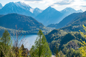 Fototapeta na wymiar Lake Alp