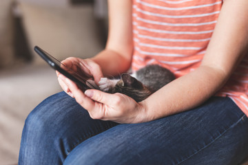 Woman using a smartphone and holding kitten