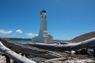 Obraz premium Pencarrow Lighthouse on Wellington's South Coast in New Zealand
