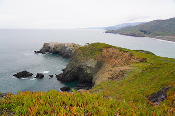 Obraz premium Beautiful Pacific coast in California