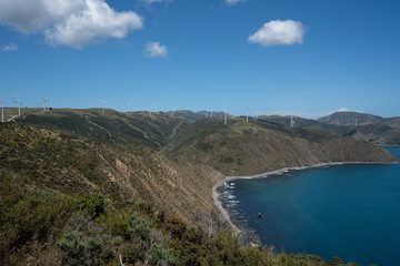 Wind turbines on the hills at Makara New Zealand, near Wellington	