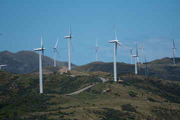 Wind turbines on the hills at Makara New Zealand, near Wellington	