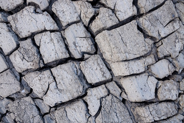 Close up of crack soil and muddy in the dry season textures, Patterns and texture cracked soil of sunny dried earth soil, Dried cracked earth soil ground background, Dry and cracked earth texture