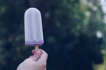 ice cream with blurred green bokeh and nature background