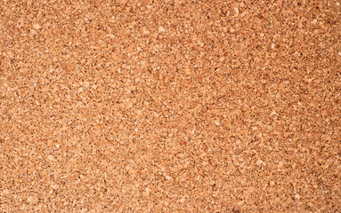 Large empty cork board surface.