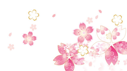 Fototapeta na wymiar 桜のイラスト