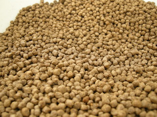 Feed for freshwater fish farming