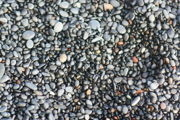 Pebble stones closeup on the shore in the blurry background
