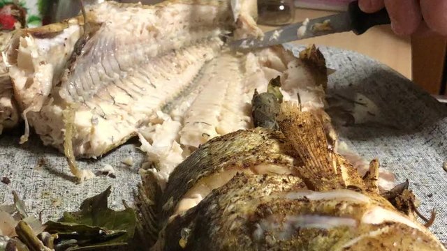 Eating pike perch fish on the plate