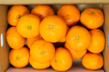 ダンボール箱のみかん