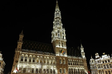 Fototapeta na wymiar ベルギー ブリュッセル Grand Place 夜 風景