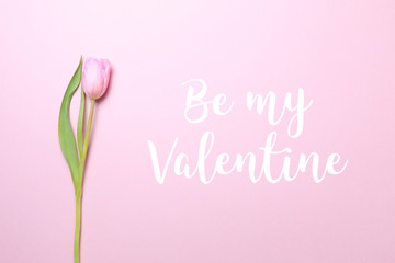 Be my Valentine wording with pink tulips on the pink background. Flat lay, top view. Valentines background. Horizontal