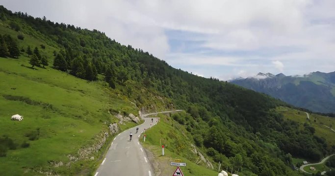 drone aerial following view of four cyclists on a cycling tour starting an eic decent down col d'aspin in the french pyrenees surrounded by cows, trees, grass, mountains  and an epic scenery