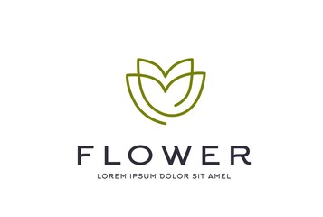 Abstract premium green leaf icon design vector graphics