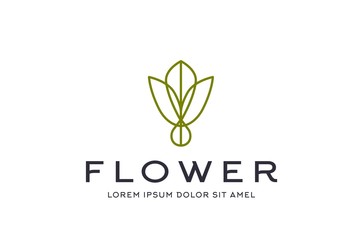 Abstract premium green linear leaf icon design vector graphics