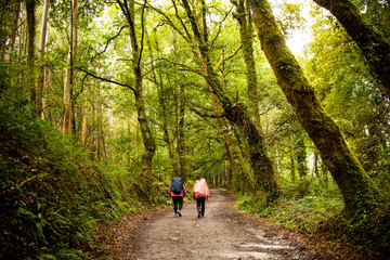 Fototapeta premium People trekking in the nature mountain walking 