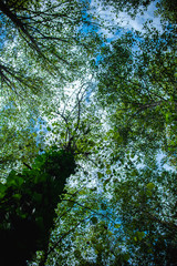 People trekking in the nature mountain walking 