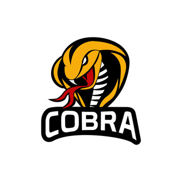 king cobra logo template design Vector illustration