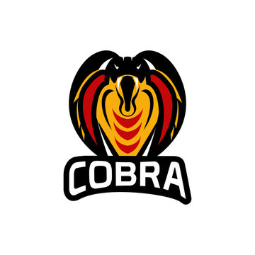 king cobra logo template design Vector illustration