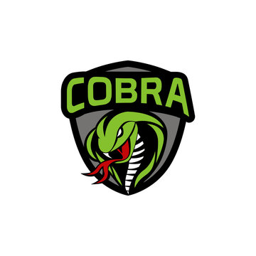 king cobra logo template design Vector illustration