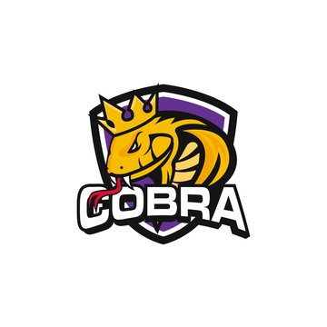 king cobra logo template design Vector illustration