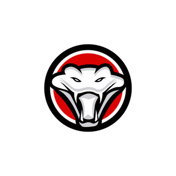 king cobra logo template design Vector illustration