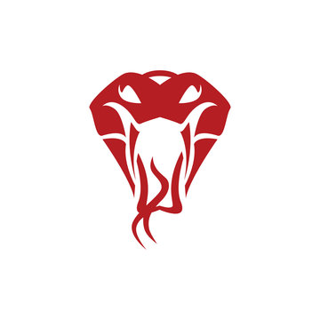 king cobra logo template design Vector illustration
