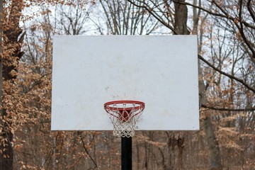 Ball is Life pt. 2