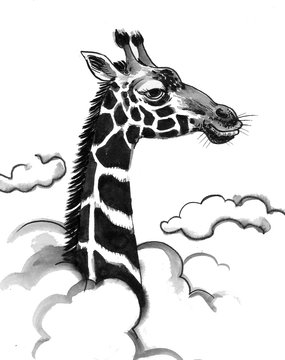 Giraffe head in the clouds. Ink black and white drawing