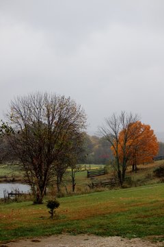 Patoka 