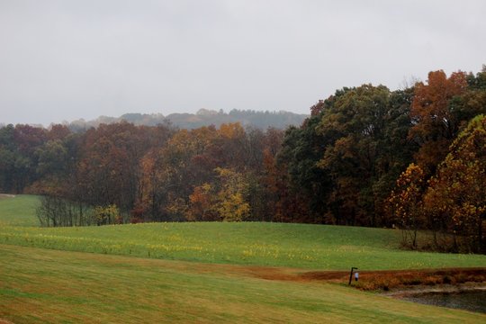 Patoka 