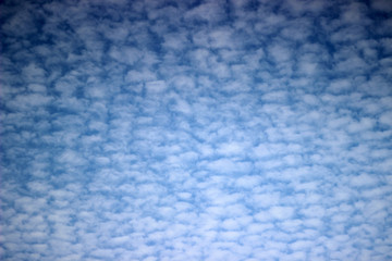 晴天に鱗雲の浮かぶ秋空