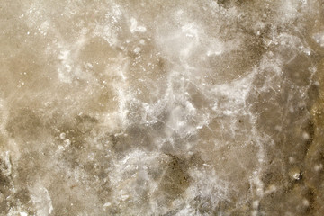 Obraz premium Unusual ice patterns on the surface of the puddle