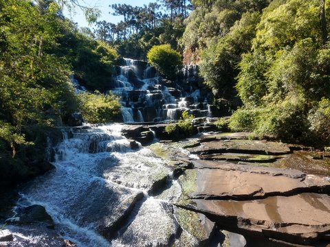 parque e &aacute;rvores com cachoeira