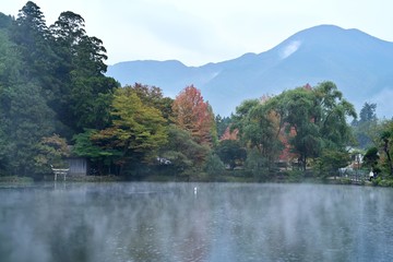 朝霧に包まれた金鱗湖の幻想的な情景＠由布院、大分