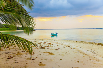 Maldivian Sunset Sea View with Boat and Palm Leaves