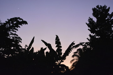 atardecer