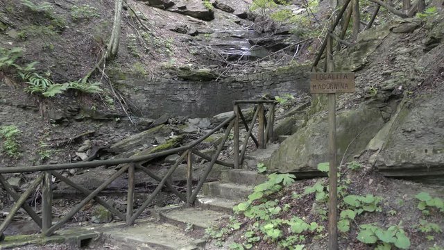 Campigna -  parco delle foreste casentinesi