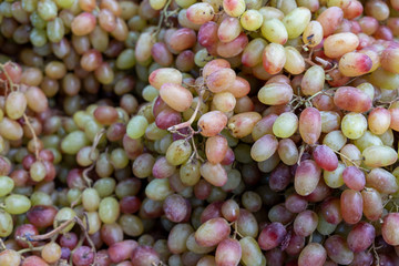 Red green grapes for sale at city farmers market