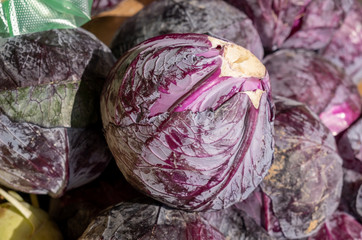Fototapeta na wymiar Purple red organic cabbage sold at farmers market
