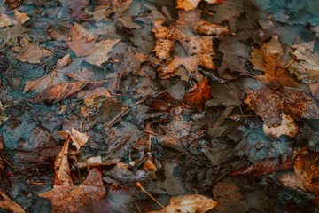 Autumn in London | Water Reflection