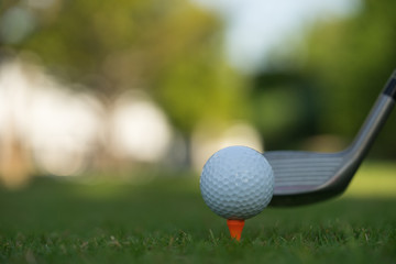 Golf ball on green grass ready to be struck on golf course background