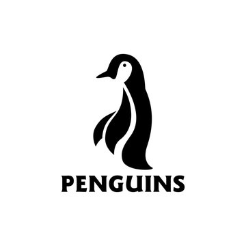 Penguin Logo design vector template