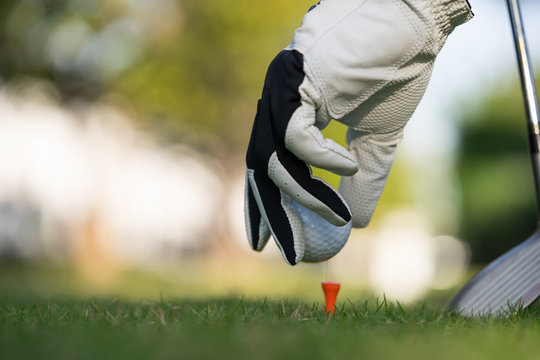 Hand putting golf ball on tee in golf course