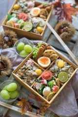 秋の行楽弁当