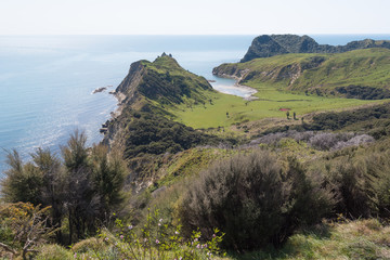 Fototapeta na wymiar Elevated view of Cooks Cove tucked between two, high headlands, near Tolaga Bay, East Cape, New Zealand.