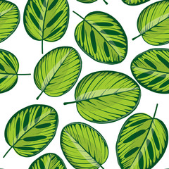 vector seamless pattern with drawing tropical leaf