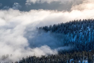 Printed roller blinds Forest in fog misty winter forest in clouds in the swiss alps