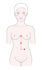 Active acupuncture points of massage on the body of a woman. Gynecology and reproductive system. Vector illustration.