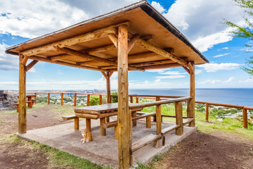 Kiosque de pique-nique 